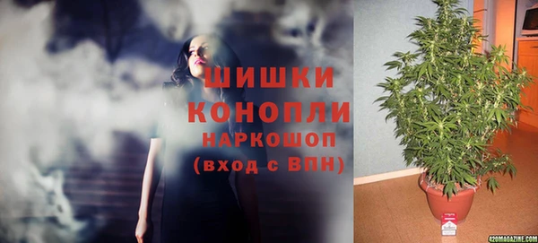 дурь Богданович