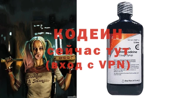 гидра Богородицк