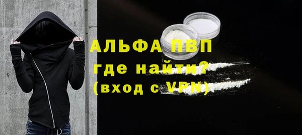 гидра Богородицк