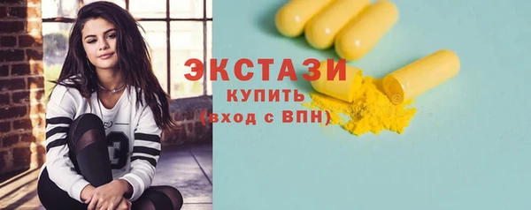 гидра Богородицк