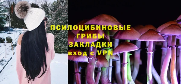 гидра Богородицк
