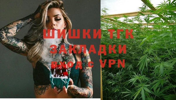 дурь Богданович