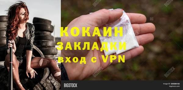 гидра Богородицк