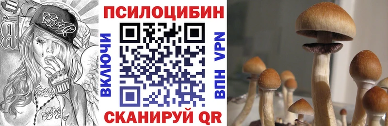 даркнет сайт  Белокуриха  Псилоцибиновые грибы прущие грибы 